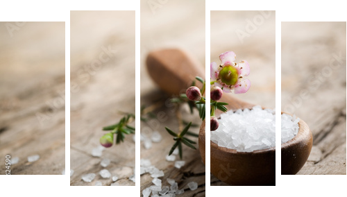 Bath salt - Fünfteiliges Leinwandbild, Pentaptychon