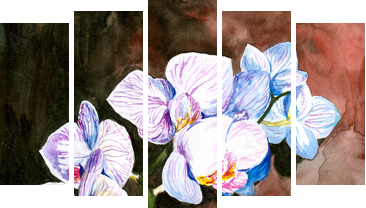 Orchidea malowana akwarelą - Fünfteiliges Leinwandbild, Pentaptychon