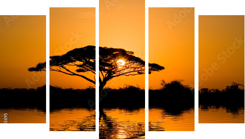 acacia tree at sunrise - Fünfteiliges Leinwandbild, Pentaptychon
