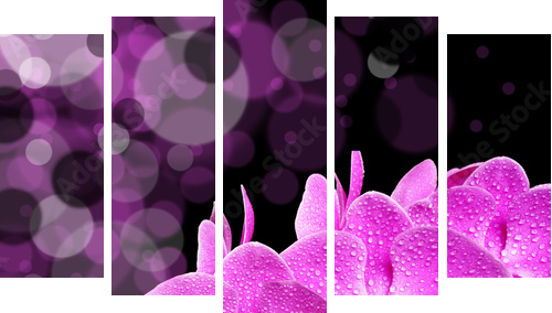 orchid - Fünfteiliges Leinwandbild, Pentaptychon