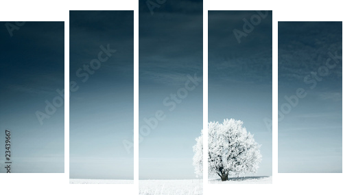 Zimowa łąka otulona białym puchem - Fünfteiliges Leinwandbild, Pentaptychon
