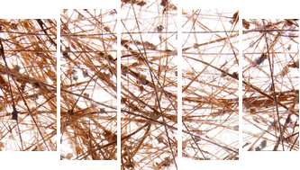 sisal background - Fünfteiliges Leinwandbild, Pentaptychon