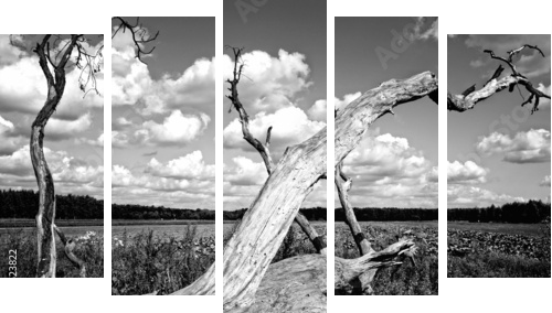 Drzewo - Fünfteiliges Leinwandbild, Pentaptychon