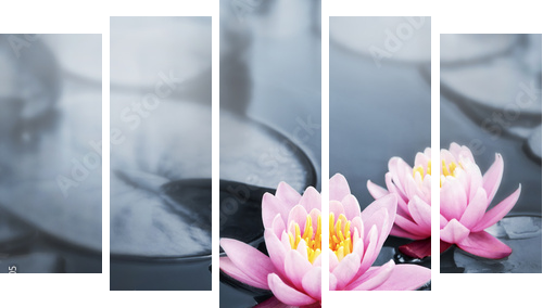 Lotus blossoms - Fünfteiliges Leinwandbild, Pentaptychon