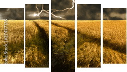 thunderstorm over a golden  barley field - Fünfteiliges Leinwandbild, Pentaptychon