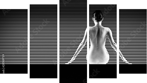 black and white artistic nude; a back silhouette shot on striped - Fünfteiliges Leinwandbild, Pentaptychon