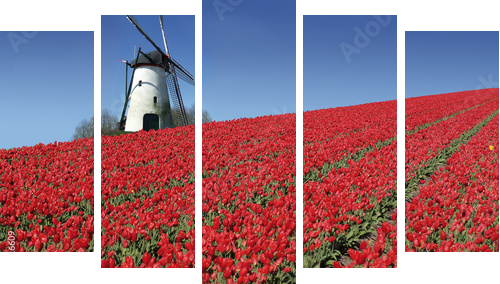 Esencja Holandii – wiatrak i tulipany
 - Fünfteiliges Leinwandbild, Pentaptychon
