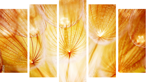 Soft dandelion flower - Fünfteiliges Leinwandbild, Pentaptychon