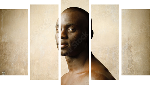African beauty - Fünfteiliges Leinwandbild, Pentaptychon