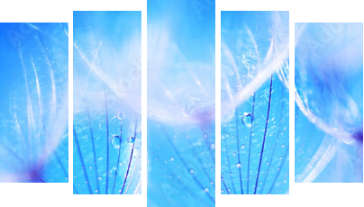 Soft dandelion flowers - Fünfteiliges Leinwandbild, Pentaptychon