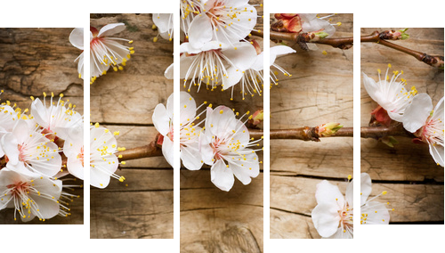 Wood background with spring blossom - Fünfteiliges Leinwandbild, Pentaptychon