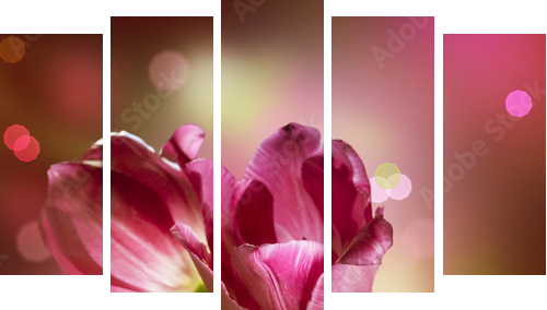 Flowers Anniversary Card Design - Fünfteiliges Leinwandbild, Pentaptychon