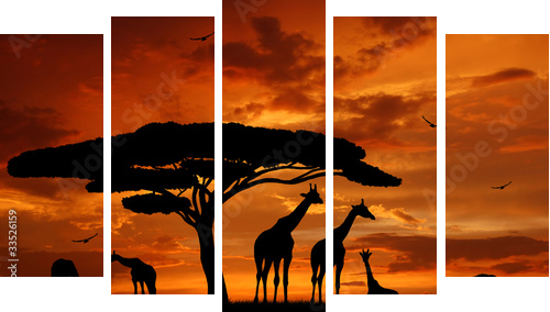 herd of giraffes in the setting sun - Fünfteiliges Leinwandbild, Pentaptychon