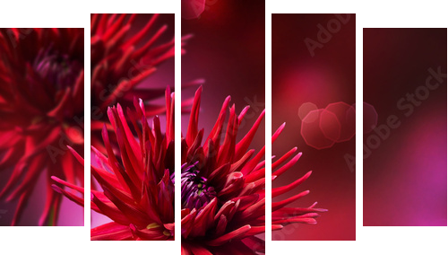 Dahlia Autumn flower design - Fünfteiliges Leinwandbild, Pentaptychon