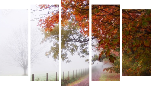 misty autumn morning - Fünfteiliges Leinwandbild, Pentaptychon