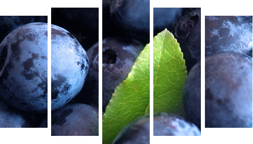 Macro shot of wet fresh blueberry - Fünfteiliges Leinwandbild, Pentaptychon