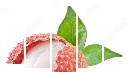 Lychee with leaves on a white background. - Fünfteiliges Leinwandbild, Pentaptychon