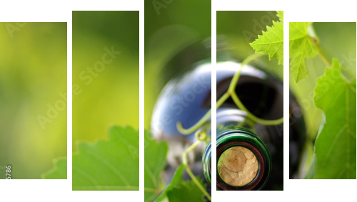 Bottle of wine between grapevine leves - Fünfteiliges Leinwandbild, Pentaptychon