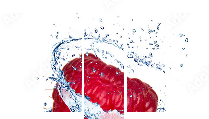 Raspberry with water splash, isolated on white background - Fünfteiliges Leinwandbild, Pentaptychon