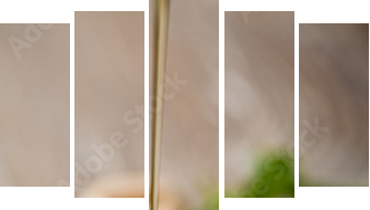 wild honey - Fünfteiliges Leinwandbild, Pentaptychon