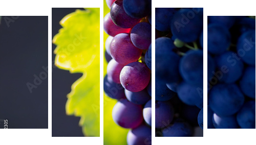 glowing dark wine grapes - Fünfteiliges Leinwandbild, Pentaptychon