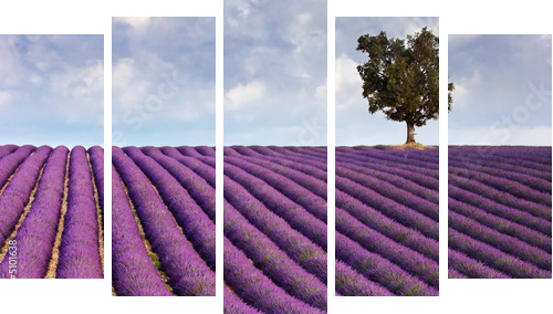 Lavender field and a lone tree - Fünfteiliges Leinwandbild, Pentaptychon