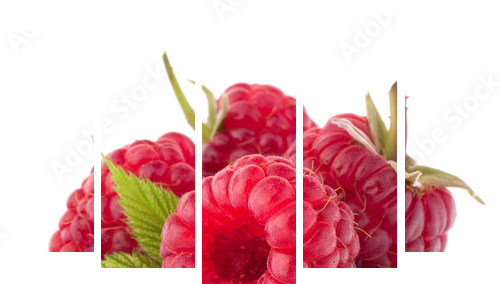 Ripe raspberries - Fünfteiliges Leinwandbild, Pentaptychon