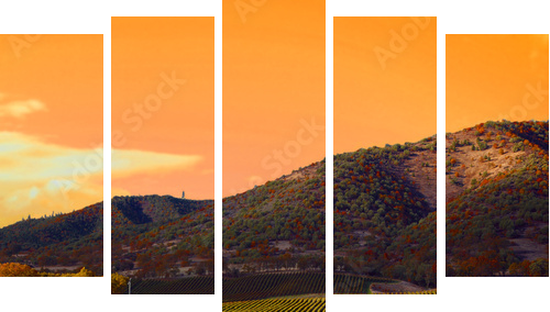 Vineyard Sunset - Fünfteiliges Leinwandbild, Pentaptychon