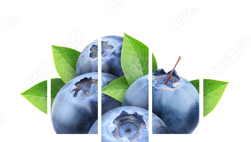Fresh blueberries isolated on white - Fünfteiliges Leinwandbild, Pentaptychon