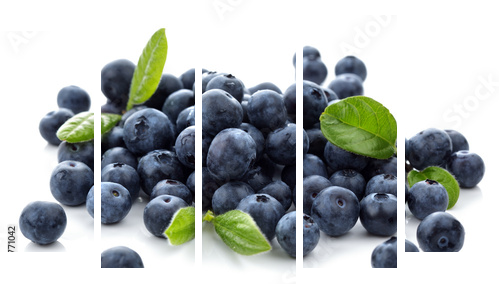 Blueberry - Fünfteiliges Leinwandbild, Pentaptychon