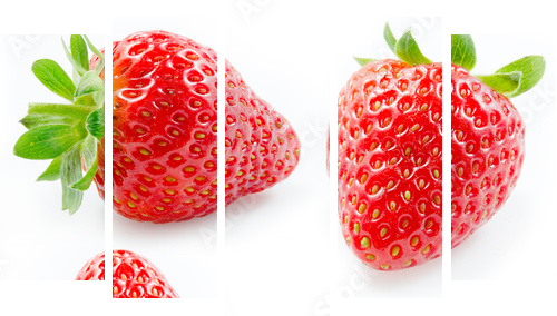 Strawberry. Collection isolated on white - Fünfteiliges Leinwandbild, Pentaptychon