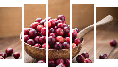 Cranberries.  - Fünfteiliges Leinwandbild, Pentaptychon