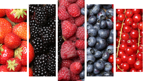 Frische Beeren FrÃ¼chte Hintergrund - Fünfteiliges Leinwandbild, Pentaptychon