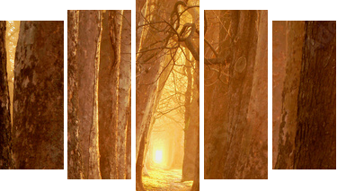 magic path - Fünfteiliges Leinwandbild, Pentaptychon