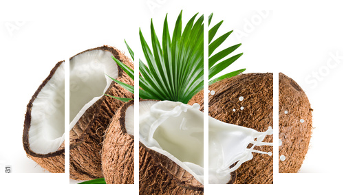 Coconuts with milk splash and leaf on white background - Fünfteiliges Leinwandbild, Pentaptychon