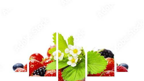 fresh berries - Fünfteiliges Leinwandbild, Pentaptychon
