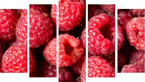 Raspberry fruit background - Fünfteiliges Leinwandbild, Pentaptychon