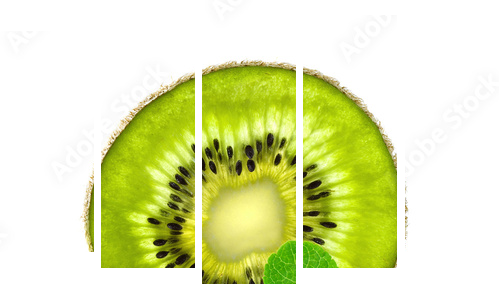 Slice of fresh juicy kiwi and mint herb isolated on white - Fünfteiliges Leinwandbild, Pentaptychon