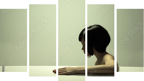Fine art portrait of elegant girl Studio photo Beautiful woman - Fünfteiliges Leinwandbild, Pentaptychon