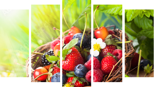 Fresh berries  - Fünfteiliges Leinwandbild, Pentaptychon