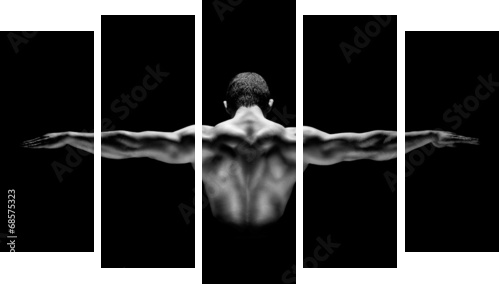 healthy muscular man with his arms stretched out isolated  - Fünfteiliges Leinwandbild, Pentaptychon
