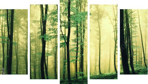 Magic green colored forest - Fünfteiliges Leinwandbild, Pentaptychon