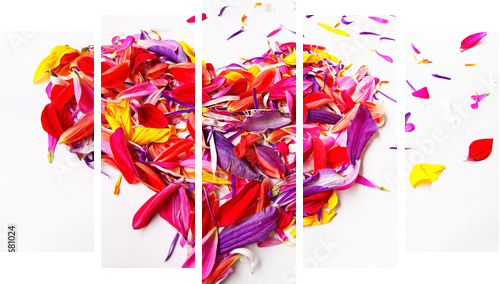 heart of the concept of flower petals on a white background  - Fünfteiliges Leinwandbild, Pentaptychon