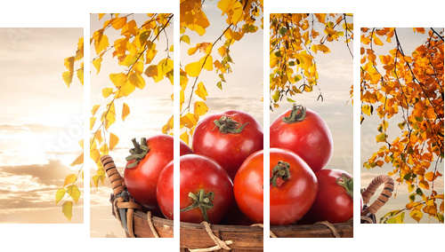 Ripe tomatoes  - Fünfteiliges Leinwandbild, Pentaptychon