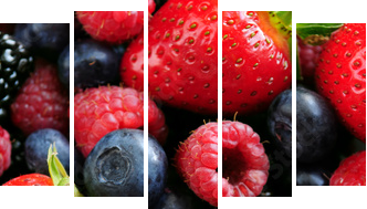 Assorted fresh berries - Fünfteiliges Leinwandbild, Pentaptychon