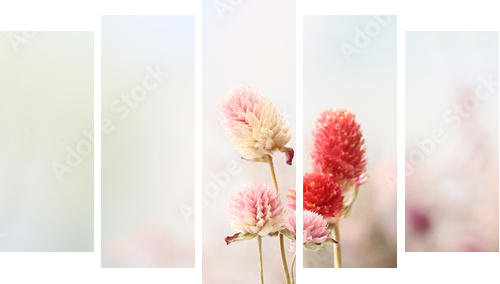 Beautiful dried flowers on bright background  - Fünfteiliges Leinwandbild, Pentaptychon