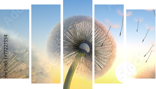 Pusteblumen - Abendstimmung  - Fünfteiliges Leinwandbild, Pentaptychon