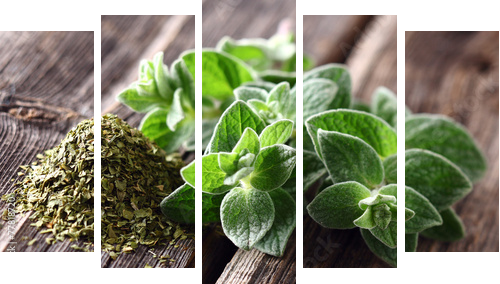 Oregano spices  - Fünfteiliges Leinwandbild, Pentaptychon