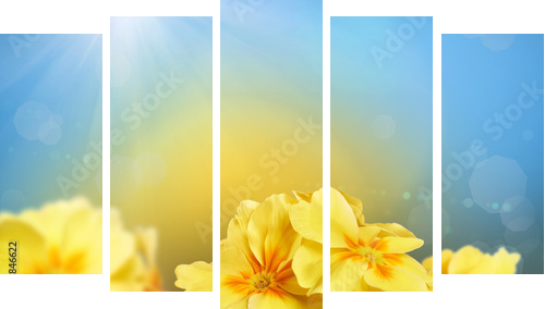 Yellow flowers on a nature background  - Fünfteiliges Leinwandbild, Pentaptychon