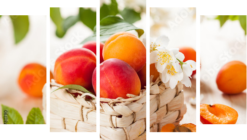 fresh apricots  - Fünfteiliges Leinwandbild, Pentaptychon